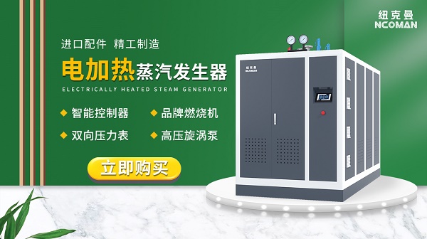鞋子生產加工用電加熱蒸汽發生器!