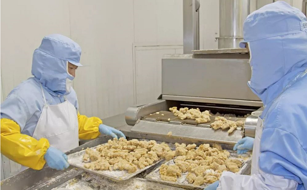 低氮蒸汽發生器是如何運用于食品加工業??替代鍋爐?