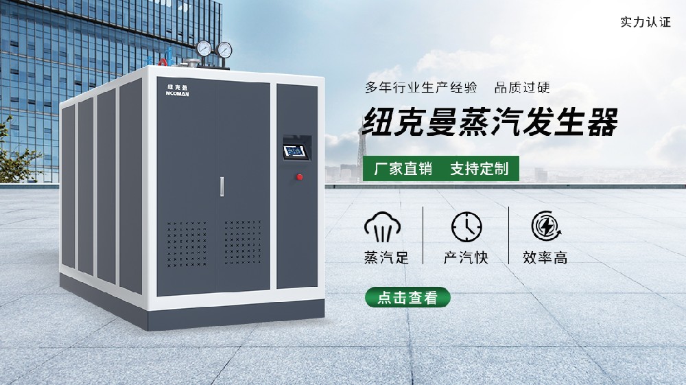 電蒸汽發生器1.jpg