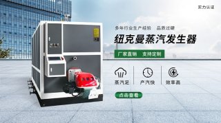 1噸生物質蒸汽發(fā)生器生產(chǎn)廠家!